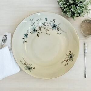 Blue Gray China Soup Bowl-Royal Karlsbad-Fantasy Czech-Midcentury Vintage 60s